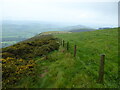 Fenceline on Gyrn Moelfre near Llanislin