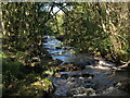 Allander Water near Milngavie Golf Club