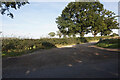 Track leading to Grange Farm