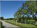 Path behind Norwood Avenue