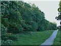 Path alongside woodland near High Royds