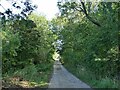 Access road to High Royds Hall