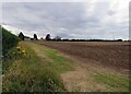 Edge of field west ofCreeton Road southwards