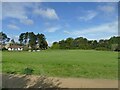 Cricket ground on the edge of Chevin Park