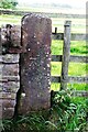 Benchmark on gatepost on SW side of SE end of track to Edenhall Grange