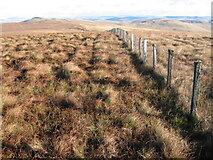 NS7519 : Fence on Mount Stuart by Chris Wimbush