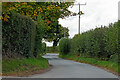 Lane to Upper Aston in Shropshire