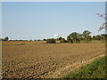 Farmland off Nedging Road