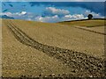 TL3337 : North Hertfordshire : ploughed farmland by Jim Osley