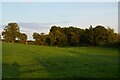 Field south of Frankton Hall