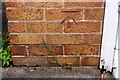 Benchmark on former pub on east side of Meadows Way