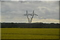 Pylon in field of rapeseed