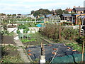 NZ3376 : Allotments, Beresford Road, Seaton Sluice by Geoff Holland