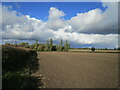 Prepared field near Brickyard Cottages