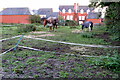 Muddy paddock on the edge of Greatworth