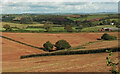 SX8363 : Farmland near Weekaborough by Derek Harper