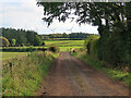 Track from Bogside Farm to Bogside Farm Cottages