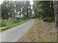 NH8620 : Tree-lined minor road heading towards Dalnahaitnach by Peter Wood