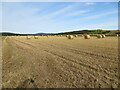 Field of stubble and pre-packed straw near to Auchterblair