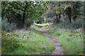 Path on Dewlands Common