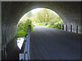 Keeping the rhyne going under the railway