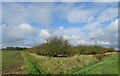 TF5309 : Apple orchard beside Moyse's Bank by JThomas