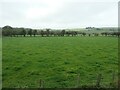 Hedge reinforced with a fence, south of Ladymeadows Farm