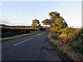 A606 Melton Road towards Hickling Pastures