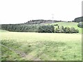 Fields and woods at Bowscar