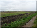 Flat farmland, Stow Bardolph Fen