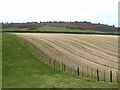 Fields above the Faulds