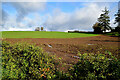 A muddy field, Donaghanie