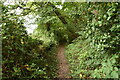 Footpath near Whydown