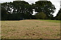 Footpath crossing a field to High Peartree Wood