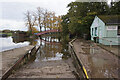 Thames path at Bossom