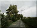 Roadway to Coe Farm