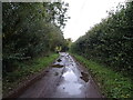 Lane near Duck End Farm