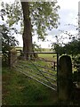 Gateposts, old and new