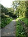 Platform of former Dunsbear Halt on Tarka Trail