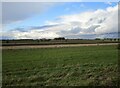 Stubble field and Page Walk Farm