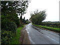 Thursford Road towards Hindringham