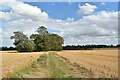 Public footpath to Gull Farm