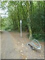 Bird sculpture and sculpted seat by the West Devon Way