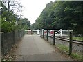 SX5158 : Level crossing on Plym Valley Railway for the West Devon Way by David Smith