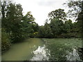 The upper part of the lake, Stoke Rochford Park