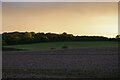 View south off Yoxford Road, Middleton