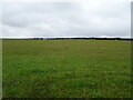 Hillside grazing, May Green