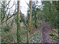 Footpath from Brook Hill to Clamp Hill