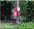 TF8429 : Elizabeth II postbox, Coxford by JThomas