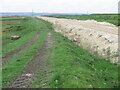 Farm track and quarry track at Levenseat quarry